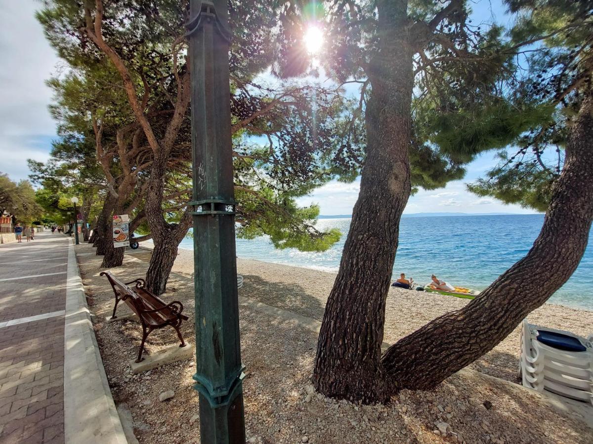 Sea & Sun Apartments Tučepi Eksteriør bilde
